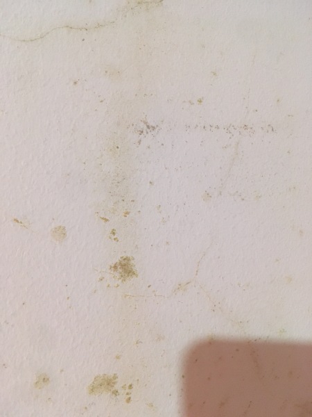 Yellow cracks- should I worry?