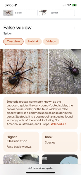 Awake as I think something bit me?? 