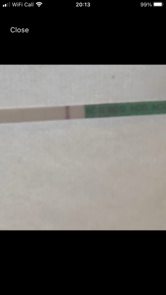 my pregnancy test