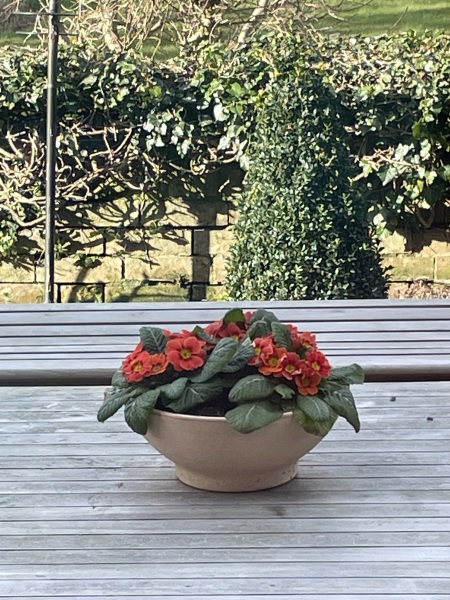 What is your gardening equivalent to putting a nice vase of flowers on the table before guests come over?