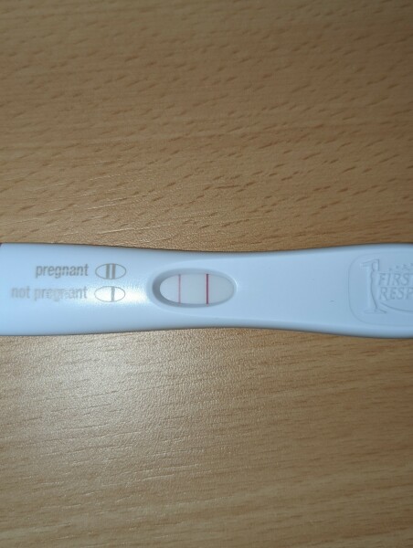 Who’s in their fertile window now?