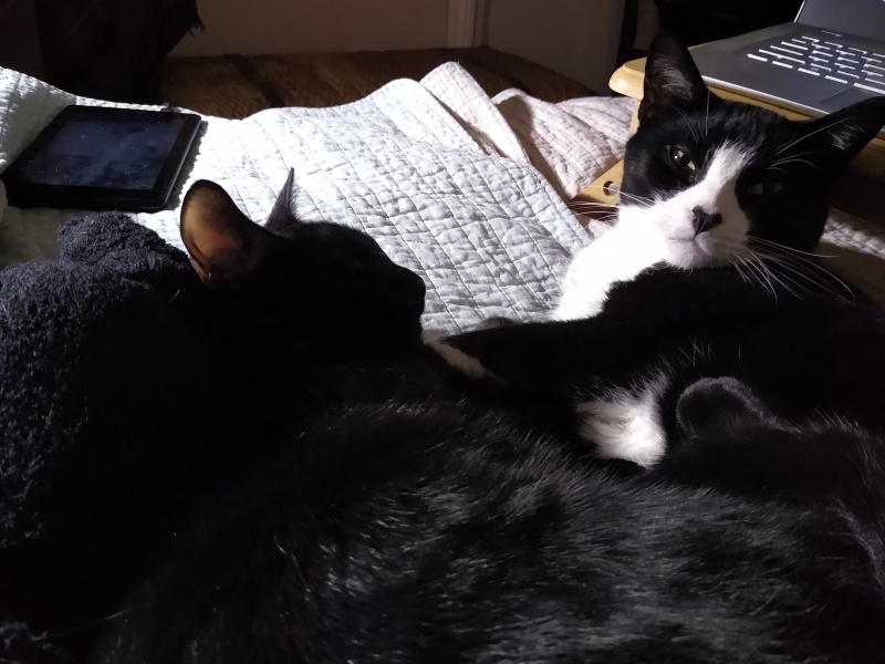 Thread 5 - TalkExiles: "The Planet Goes On Being Round"