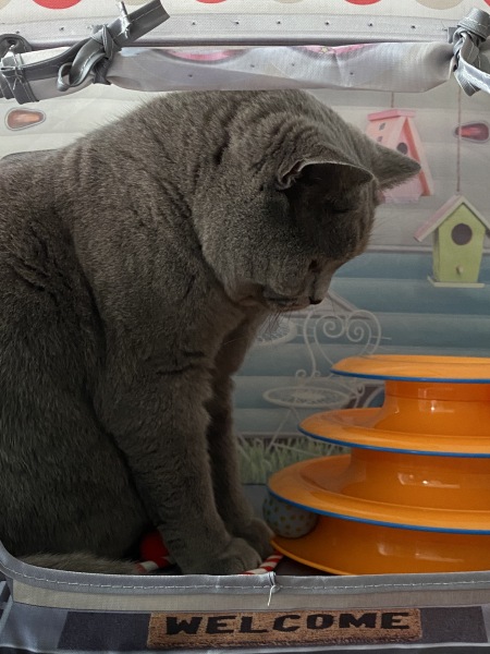 Thread 5 - TalkExiles: "The Planet Goes On Being Round"