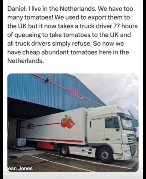 Where are all the tomatoes?