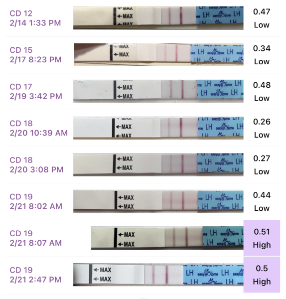 Positive OPK yet?