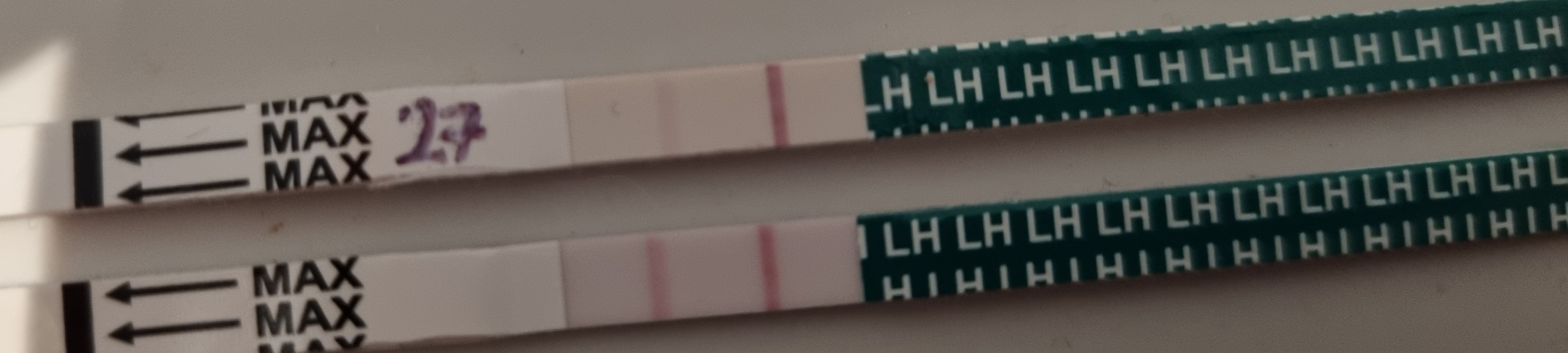 2023 TTC 35+