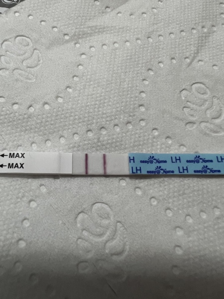 Looking for TWW buddies....