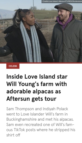 Love Island 2023: Final ahoy and new bombshells will feature. Which pair should win? Vote the sponsorship creatures.