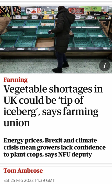 Shortage of tomatoes in the middle of February
