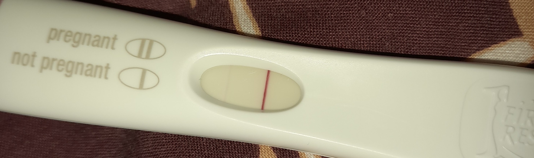 6DPO buddies please ?