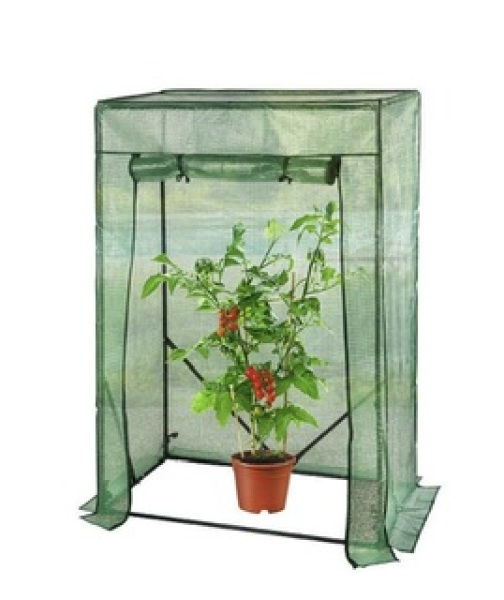 Do you have a balcony rather than a garden? Advice please.
