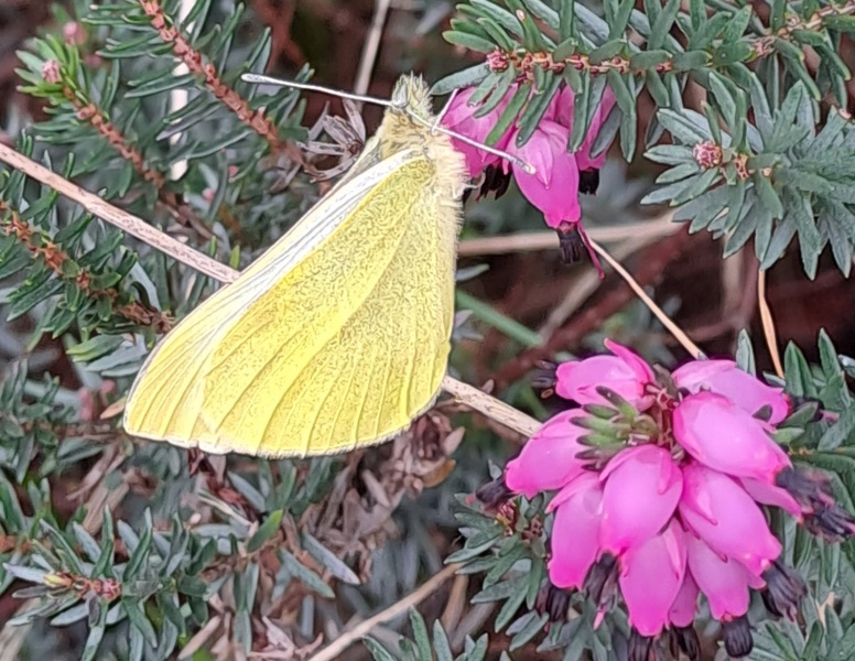 Thread 5 - TalkExiles: "The Planet Goes On Being Round"