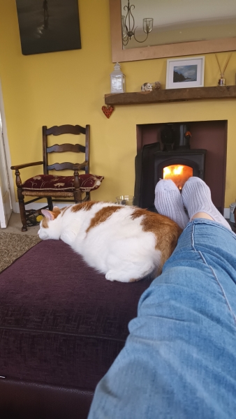 The reasons my husband gave for not getting a pet