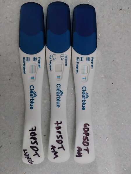 IVF February 2023