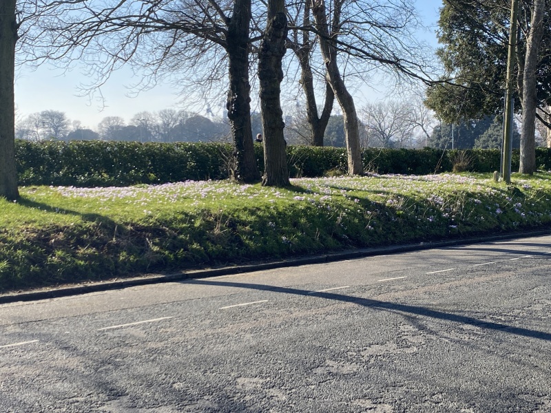 Thread 5 - TalkExiles: "The Planet Goes On Being Round"