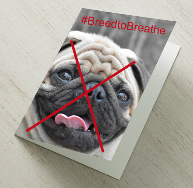 Moonpig Ban Flat-Faced Dog Cards