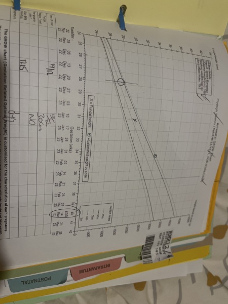 Due March 2023 - Thread 7