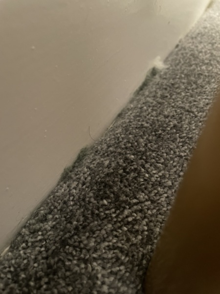 Damp/mold/condensation