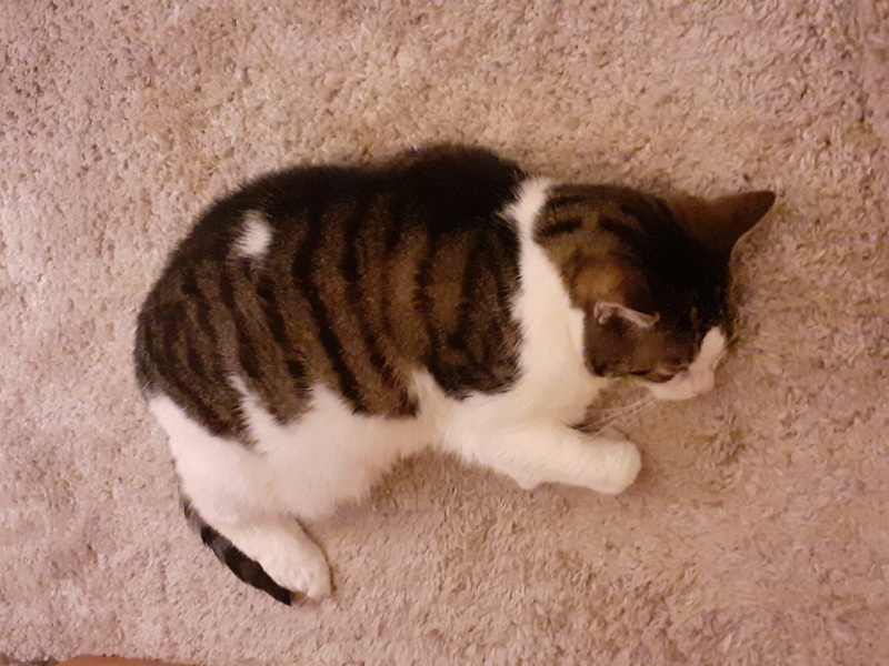 The Our Girl Addicts Thread 66 Stay focused, Stay alert, Stay alive and carry on....spying 