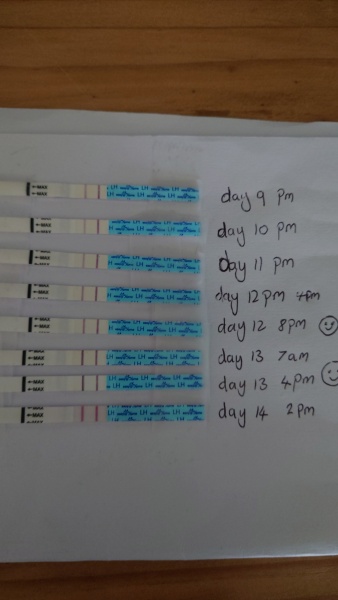 The TWW begins - testing 11/12 Feb. 