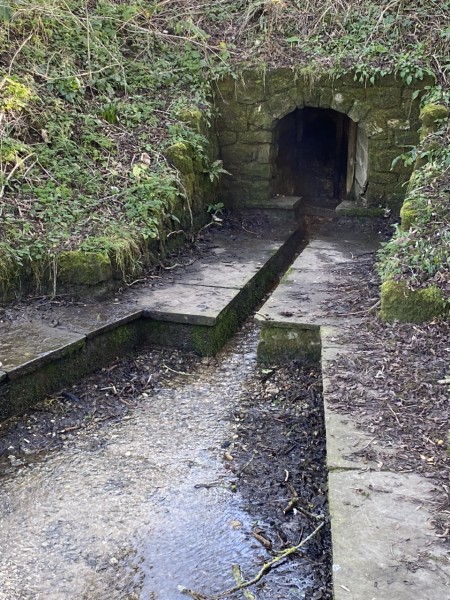 Any Witches Here?- Part 18