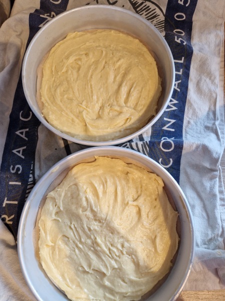 Baking disaster...immediate help needed!