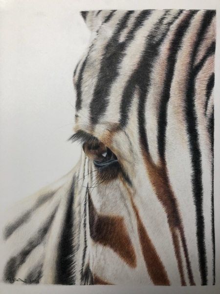 Pet portraits - brutally honest opinions needed 