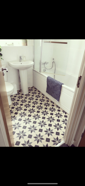 Nice looking Lino?