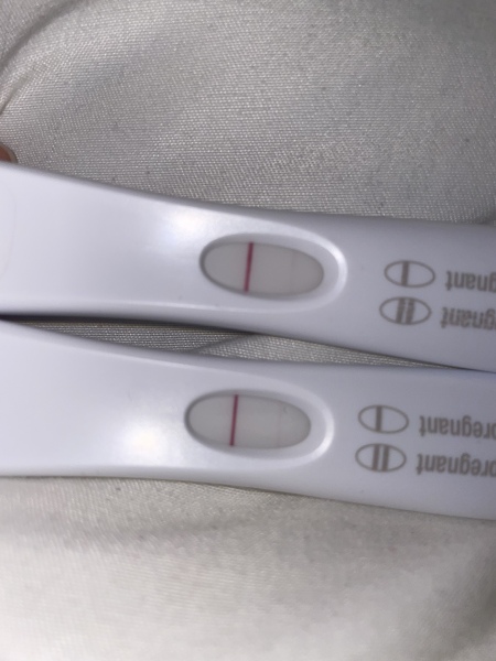 IVF February 2023
