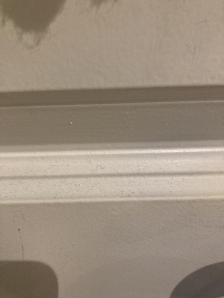 Sanding and painting