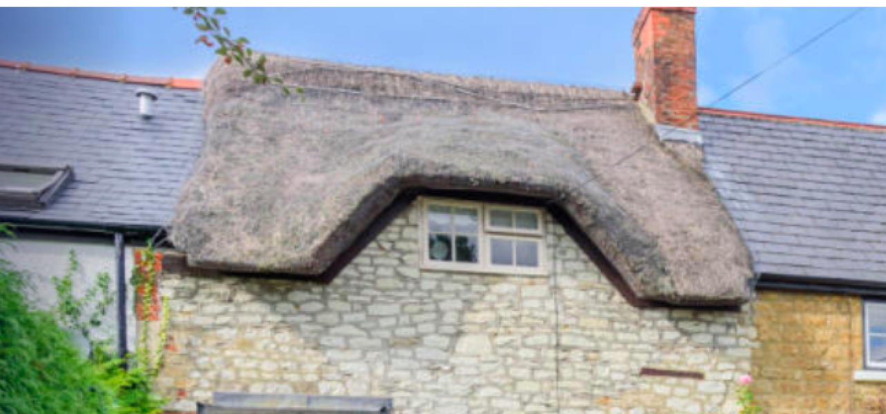 Thatched Roof