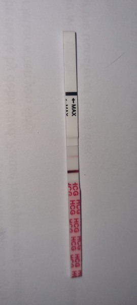 Is this a BFP??