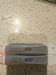 Due November 2023 ✨