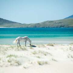 Where is the absolute best beach in the U.K.?