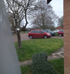 Neighbour reported me ASB