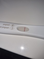BFP or Indent?