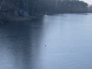 Come and tell me your dull and unexciting news 24: Calmly through the day 