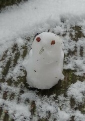 Come and tell me your dull and unexciting news 24: Calmly through the day 