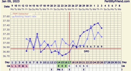 Fitness tracker stats pregnancy 