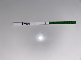 TTC Feb 2023