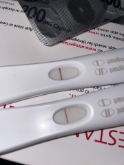 5dt Early Testers? 