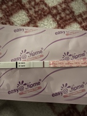 New to this! Is this an evap line? 