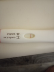 Are you guys seeing a line like me it's very faint