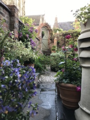 Please show me your courtyard gardens!