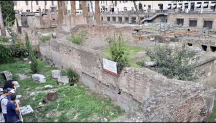 Anyone been on a tour in Rome? Any other Rome tips?