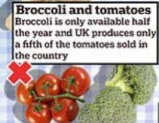Shortage of tomatoes in the middle of February