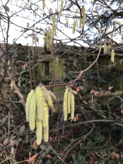 Come and tell me your dull and unexciting news 24: Calmly through the day 