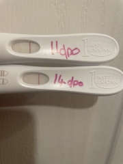 Probable chemical pregnancy - advice needed please! :)