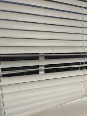Were my expectations for this deep clean too high?