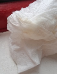 8dpoquestions. Anxious 1st timer.